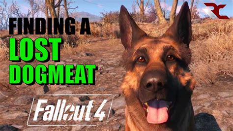 fallout 4 how to call dog